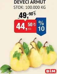DEVECİ ARMUT KG DEVECİ ARMUT KG